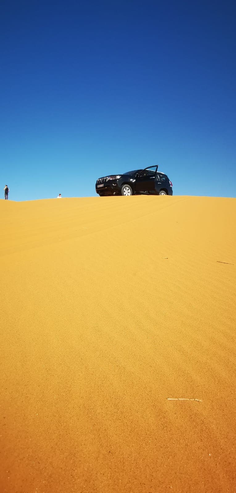 Sahara Adventure