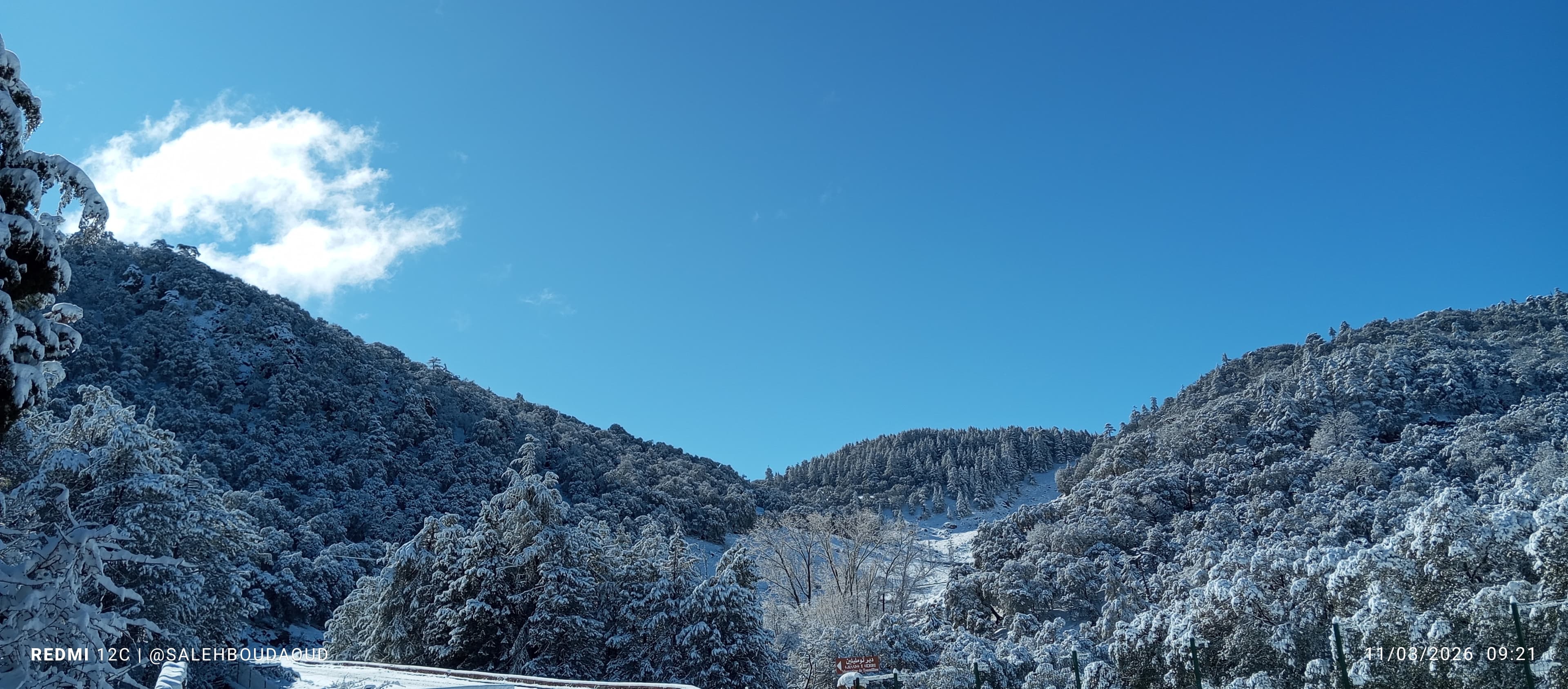 Full day hike in Ifrane National ParK 