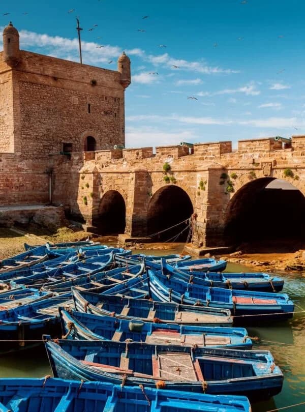 Day trip to Essaouira from Marrakech